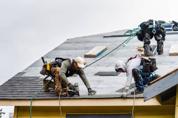 Professional Gutter Installation technician working in La Harpe, IL